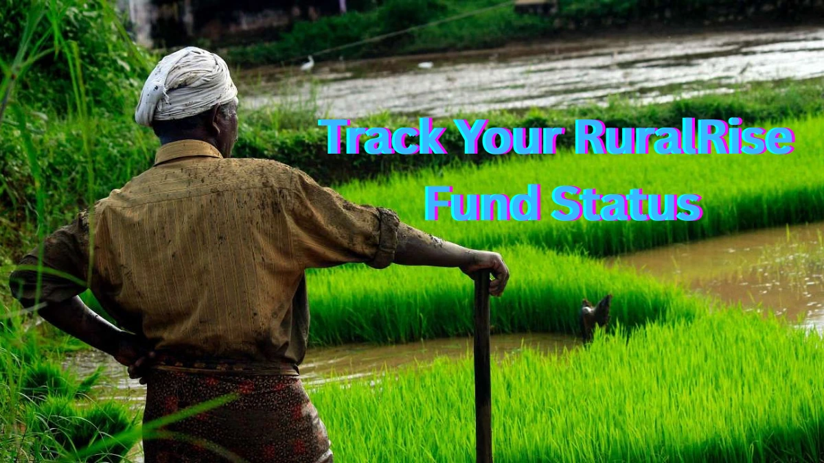 Track Your RuralRise Fund Status